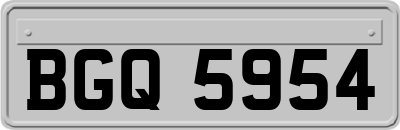 BGQ5954