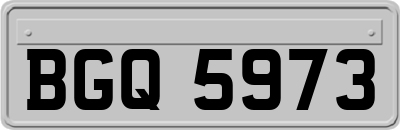 BGQ5973