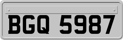BGQ5987