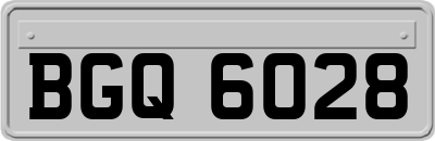 BGQ6028