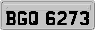 BGQ6273