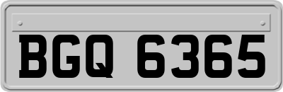 BGQ6365
