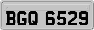 BGQ6529