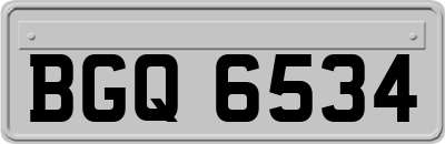 BGQ6534