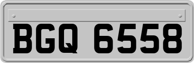 BGQ6558