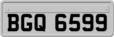 BGQ6599