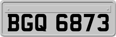 BGQ6873