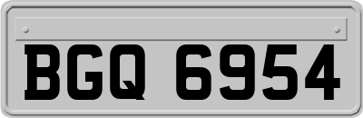 BGQ6954