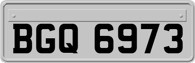 BGQ6973