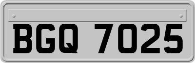 BGQ7025