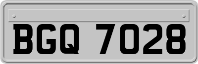 BGQ7028
