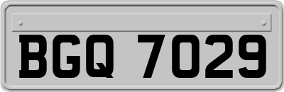BGQ7029