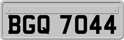 BGQ7044