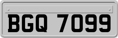 BGQ7099