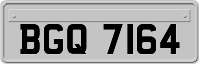 BGQ7164