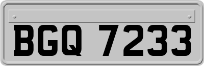 BGQ7233