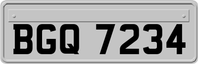 BGQ7234