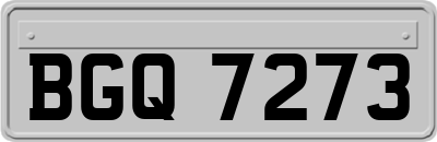 BGQ7273