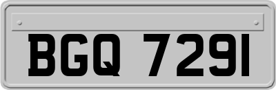 BGQ7291