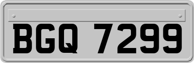 BGQ7299