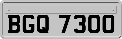 BGQ7300