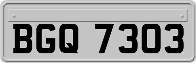 BGQ7303