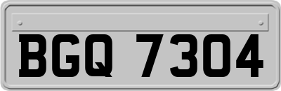 BGQ7304