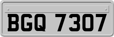 BGQ7307
