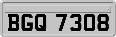 BGQ7308