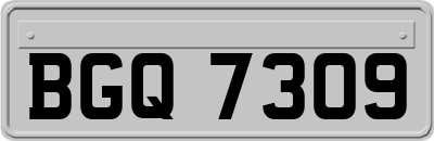 BGQ7309