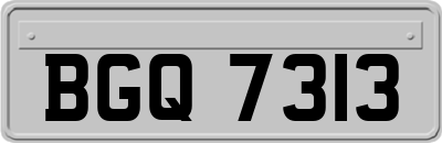 BGQ7313