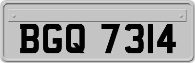BGQ7314
