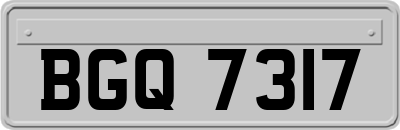 BGQ7317