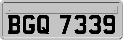 BGQ7339