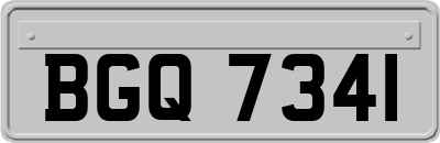 BGQ7341