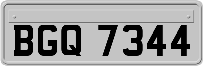 BGQ7344