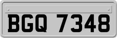 BGQ7348