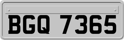 BGQ7365