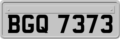 BGQ7373