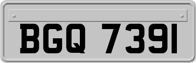 BGQ7391
