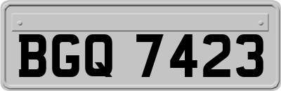 BGQ7423