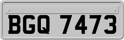 BGQ7473