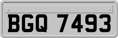 BGQ7493