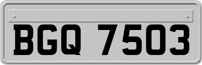 BGQ7503