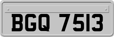 BGQ7513