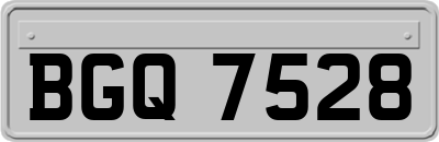 BGQ7528