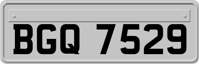 BGQ7529