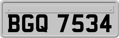BGQ7534