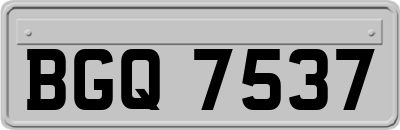 BGQ7537