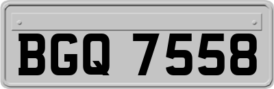 BGQ7558